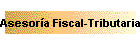 Asesora Fiscal-Tributaria